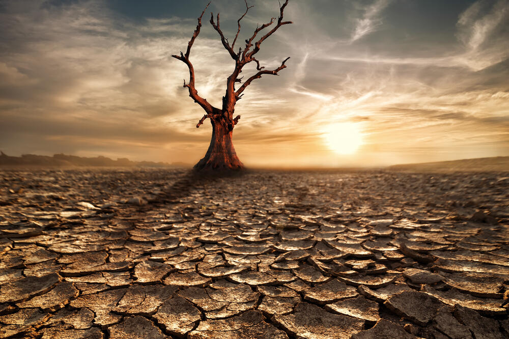 Globalno zagrijavanje, Foto: Shutterstock