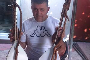 Todorović godišnje izradi stotinu gusala