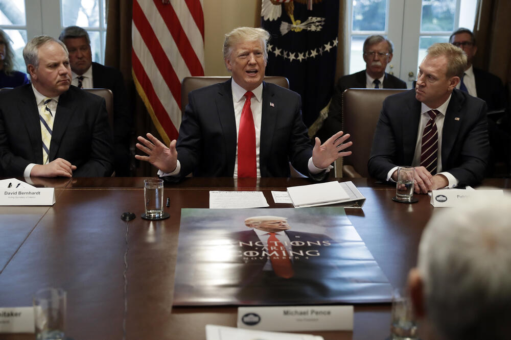 Predsjednik Tramp govori na sastanku kabineta, Foto: Beta/AP