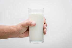Kakvo mlijeko pijemo?