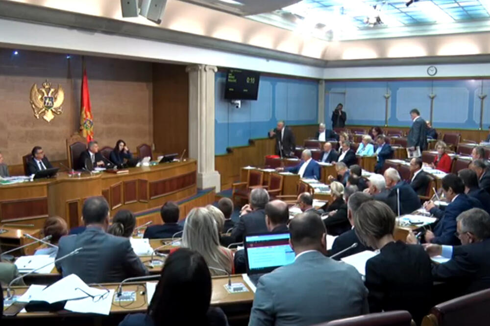 Detalj iz Skupštine, Foto: Screenshot/TV Vijesti