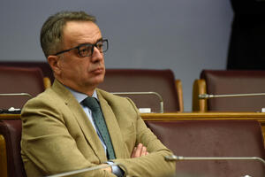 Danilović: Institucije su ovakve zbog prijateljstava, donacija,...