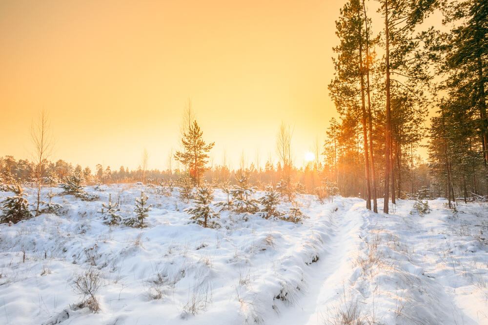 Ilustracija, Foto: Shutterstock