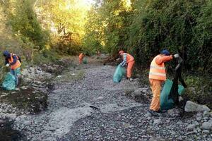 Podgorica: "Čistoći" potrebno više radnika