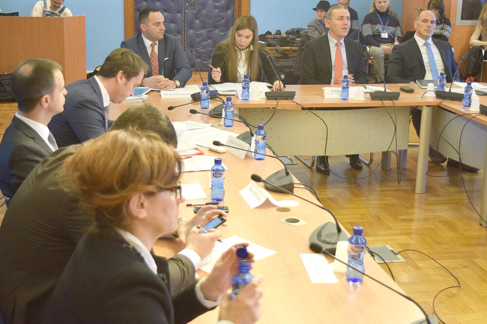 Šteta za sada bez krivca: Odbor za ekonomiju, Foto: Zoran Đurić