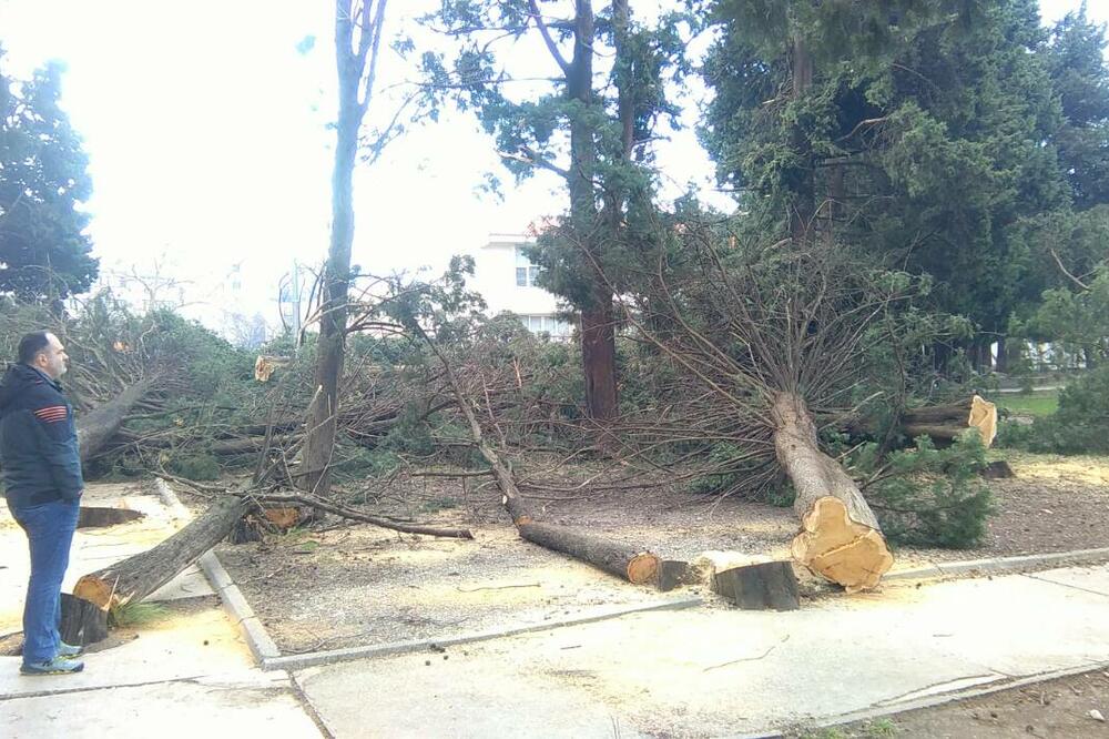 Iz dvorišta barske gimnazije