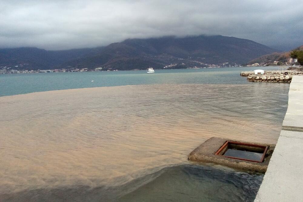 U moru se stvorila mrlja, Foto: Siniša Luković