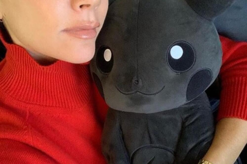 Viktorija Bekam, Foto: Instagram