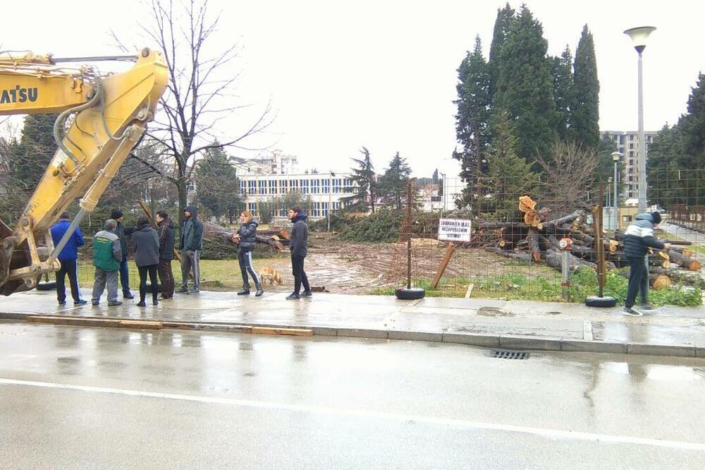 Danas u Baru, Foto: Radomir Petrić