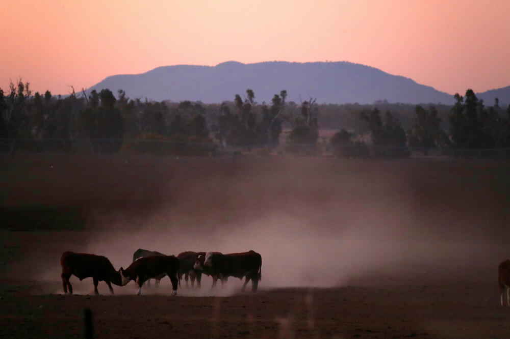 Jedno od područja pogođenih sušom, Foto: Reuters