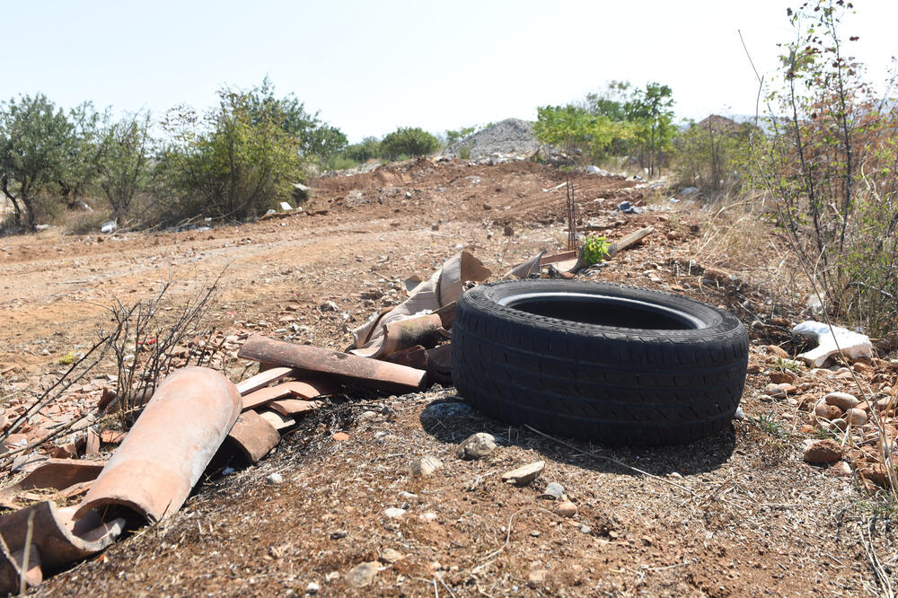 Ilustracija, Foto: Savo Prelević