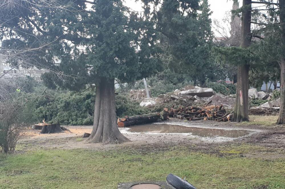 Danas u Baru, Foto: Srdan Kosović