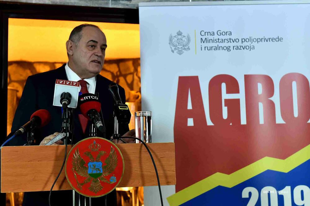 Simović, Foto: Vlada Crne Gore