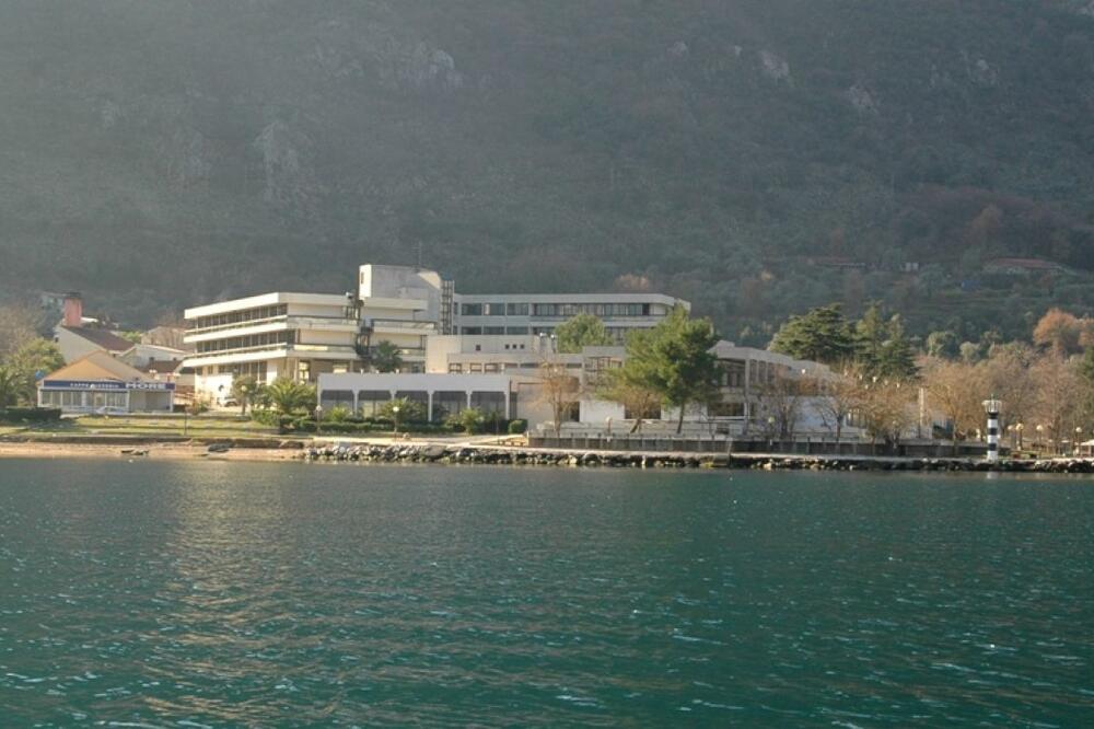 Procjenitelj tvrdi da Vrmac ukupno vrijedi 3,2 miliona: Institut Vrmac, Foto: Siniša Luković