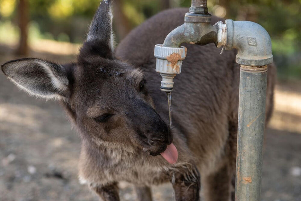Ilustracija, Foto: BBC
