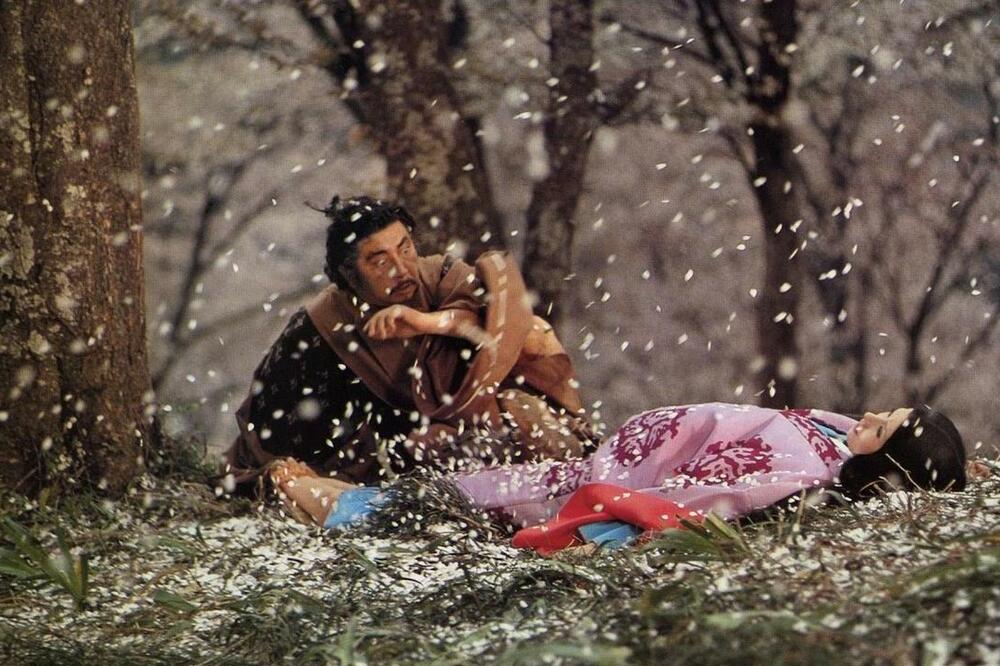 Shinoda Masahiro, Foto: MOMA