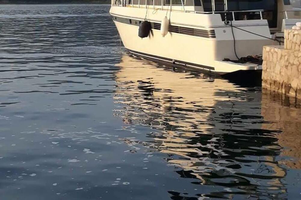 Krtoli ekološki incident, Foto: Bokeški forum