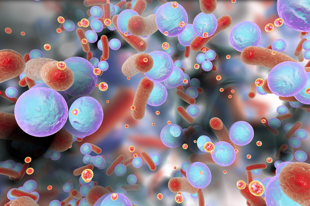 bakterija, Foto: Shutterstock