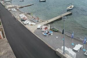 Psi slobodno šetaju u Novom, nadležni rijetko reaguju