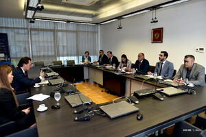 Simović sa Hemskerkom: SB spremna da podrži razvojne ciljeve Crne...