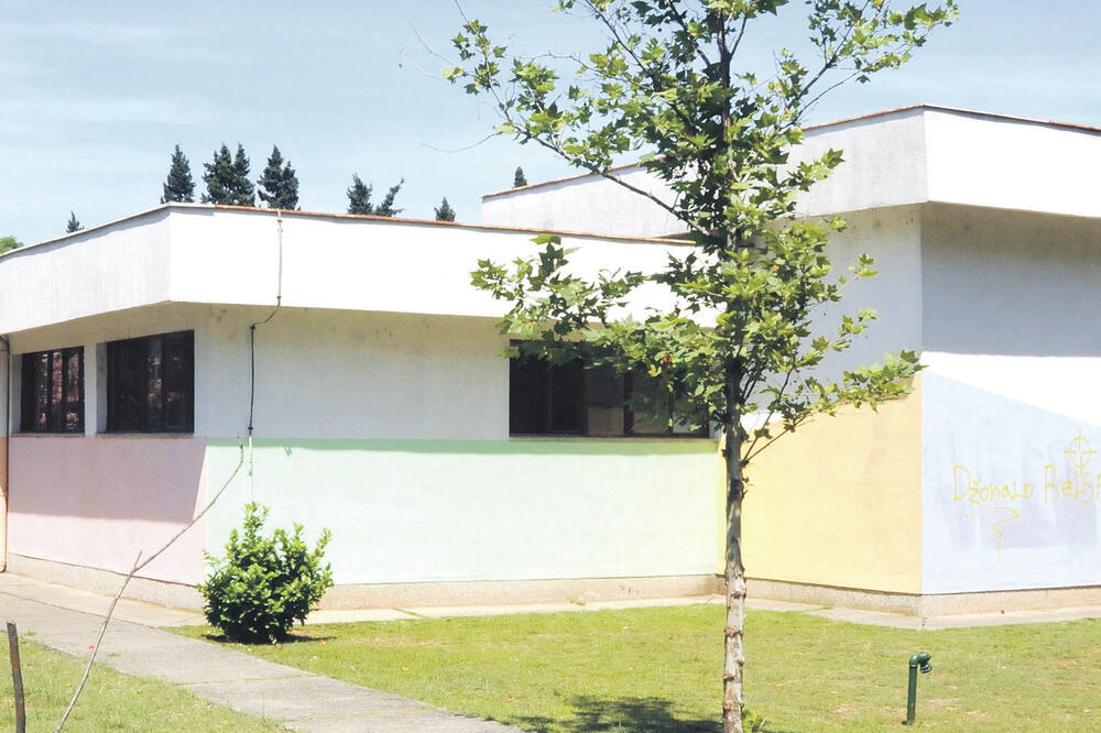 VGrtić "Đina Vrbica", Foto: Luka Zeković