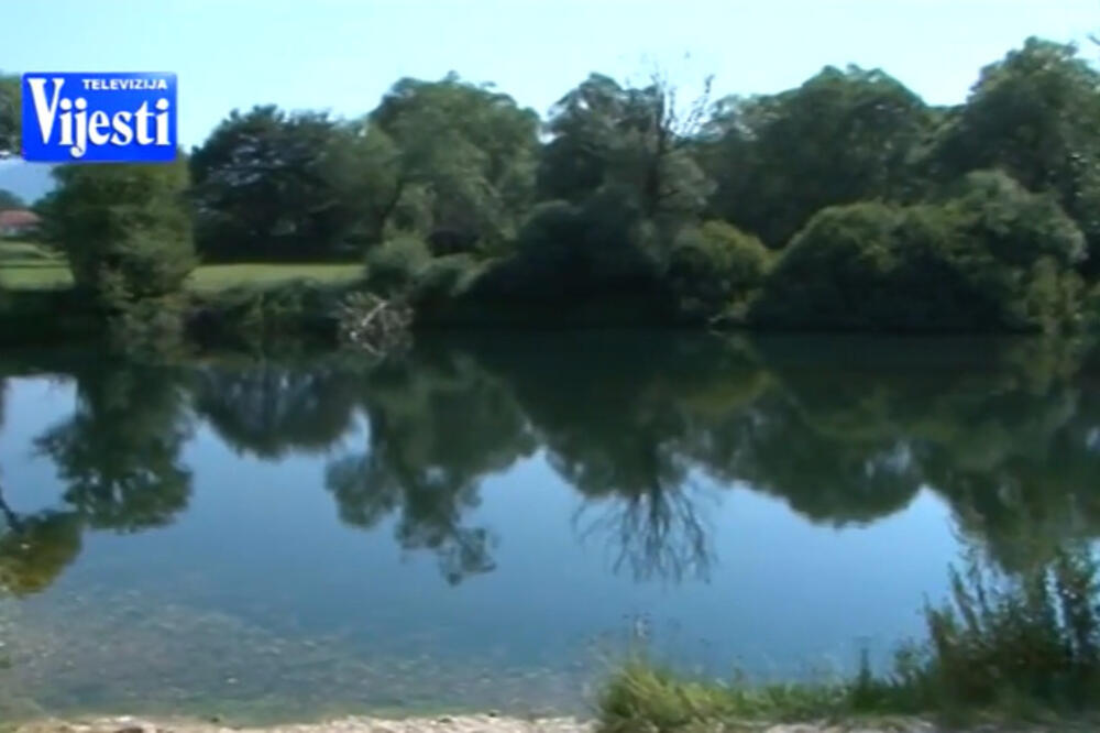 Pjenavac, Foto: Printscreen (YouTube)