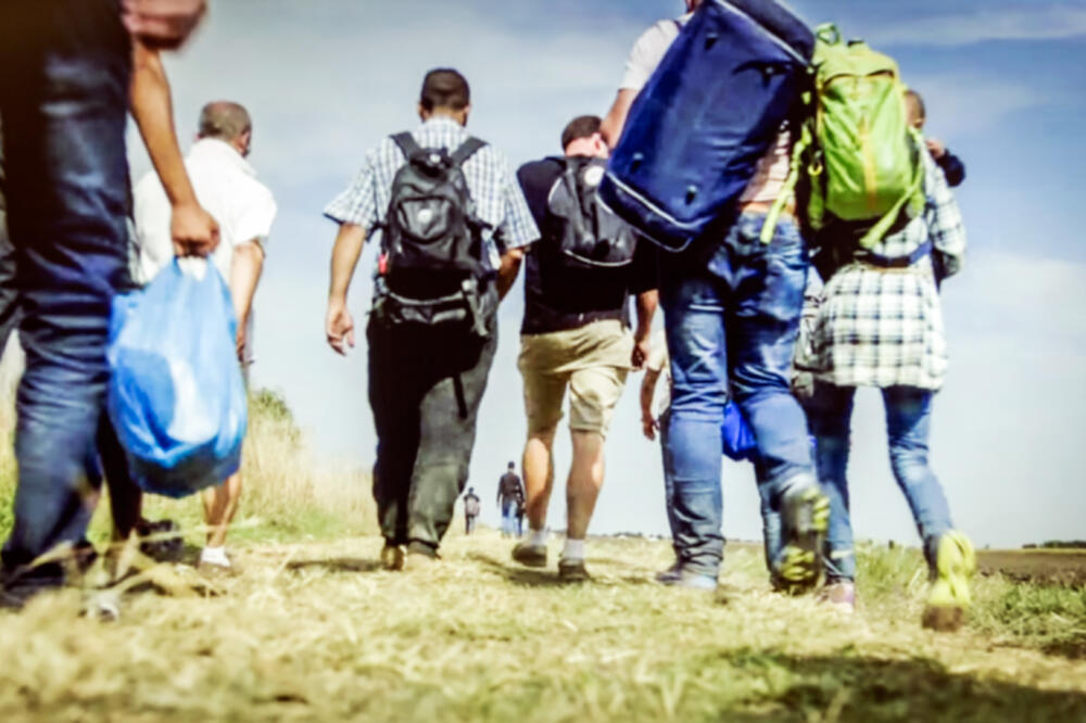 migranti, Foto: Shutterstock