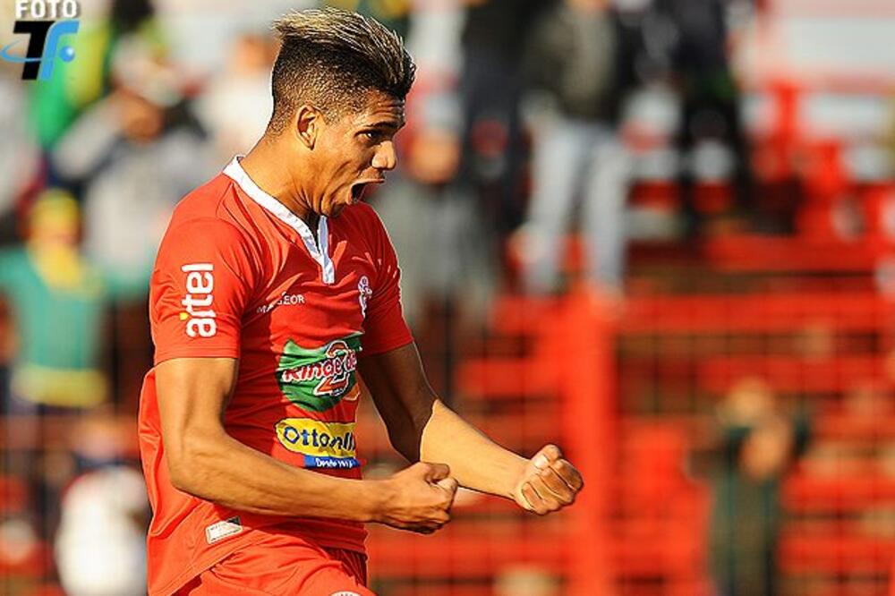 arauho, Foto: Tenfield.com.uy