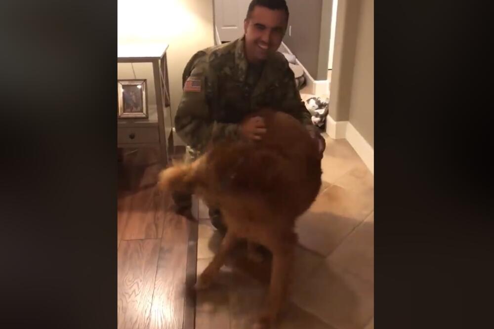 pas, vojnik, Foto: Printscreen