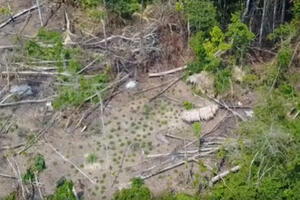 Dronom snimljeno izolovano amazonsko pleme