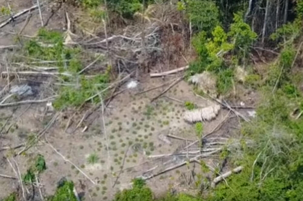 Amazonija pleme, Foto: Screenshot (Youtube)
