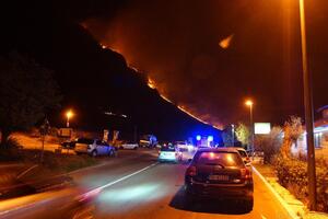 Požar na Paštrovskoj gori u potpunosti ugašen