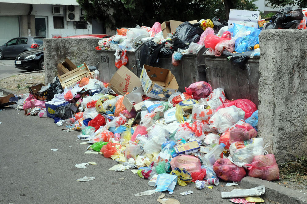 smeće, kontejner, Foto: Luka Zeković