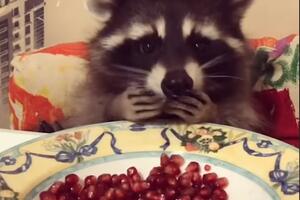 Ono kad te "uhvate" kako doručkuješ