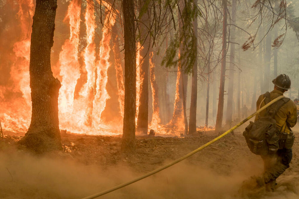 SAD, požar, Foto: Reuters