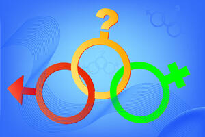 Njemačka vlada odobrila registraciju trećeg pola u matičnim...