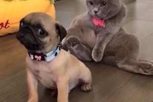 "Ona je odmah iza mene, zar ne?"