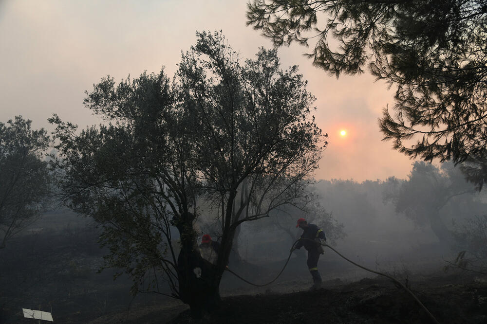 Evia, Grčka, požar, vatrogasci, Foto: Reuters