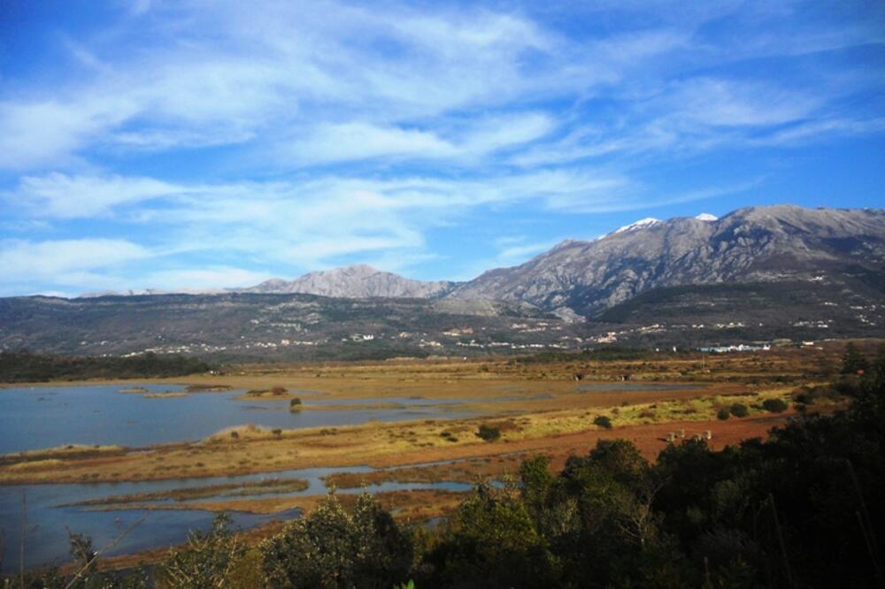 Tivatska solila, Foto: Jasna Gajević