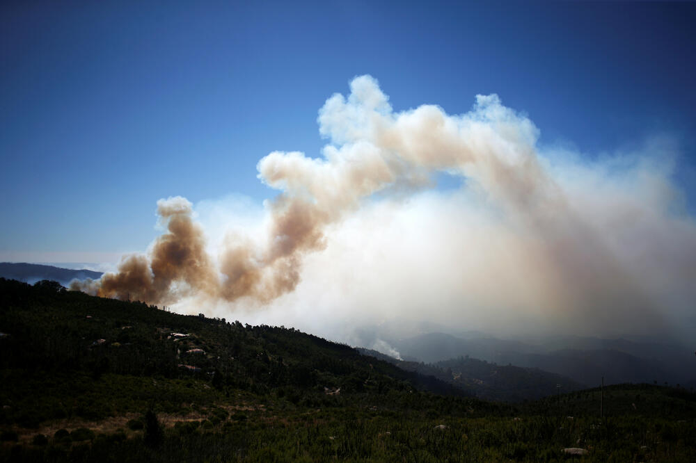 Požar, Portugalija, Foto: Reuters