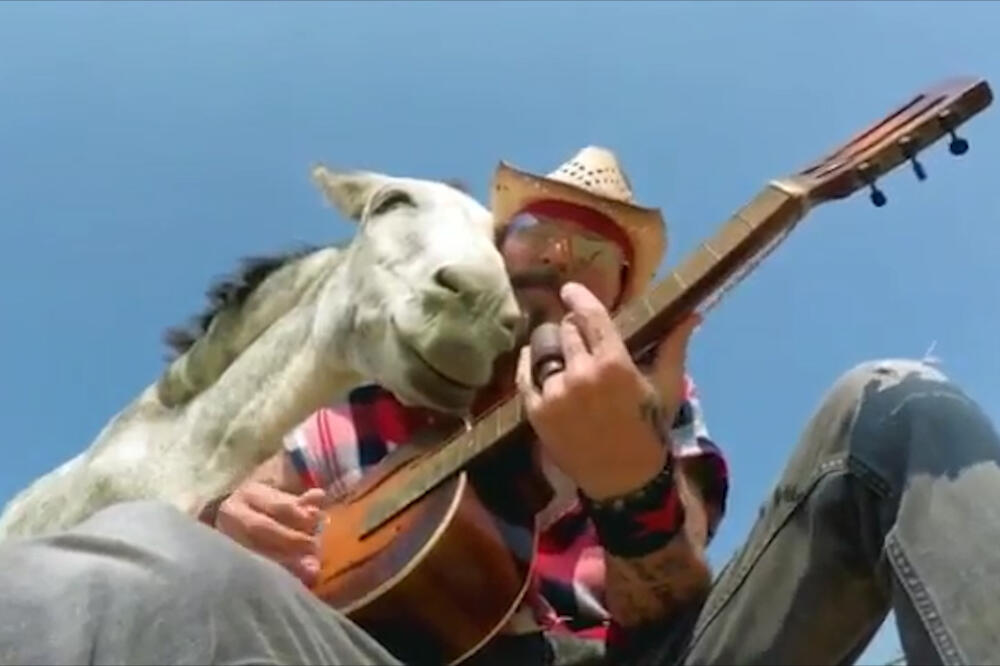 Osmijeh magarca dok se svira bluz, Foto: Vijesti video