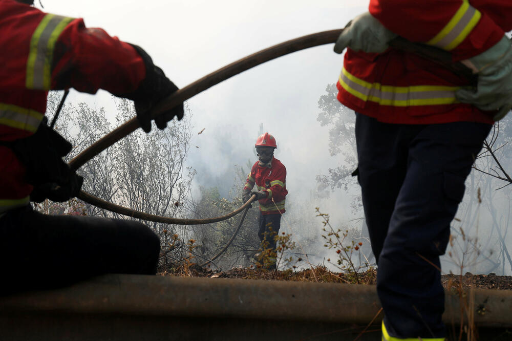vatrogasci, požar, Foto: Reuters