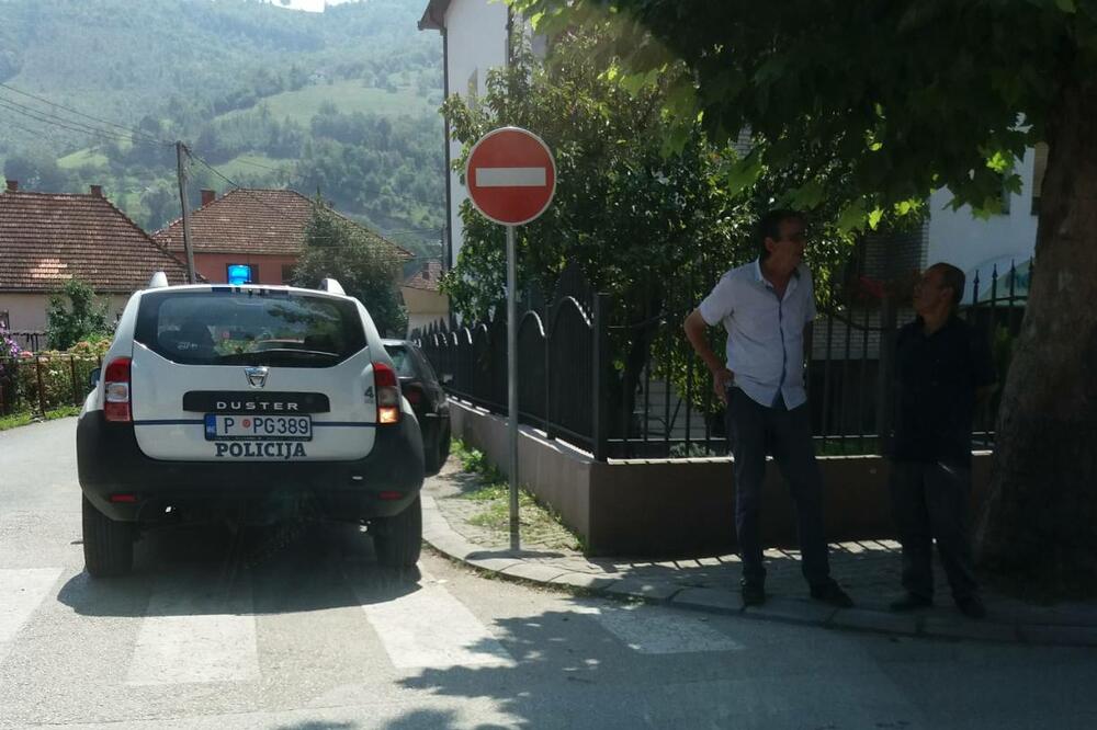 pauk, Bijelo Polje, Foto: Jadranka Ćetković