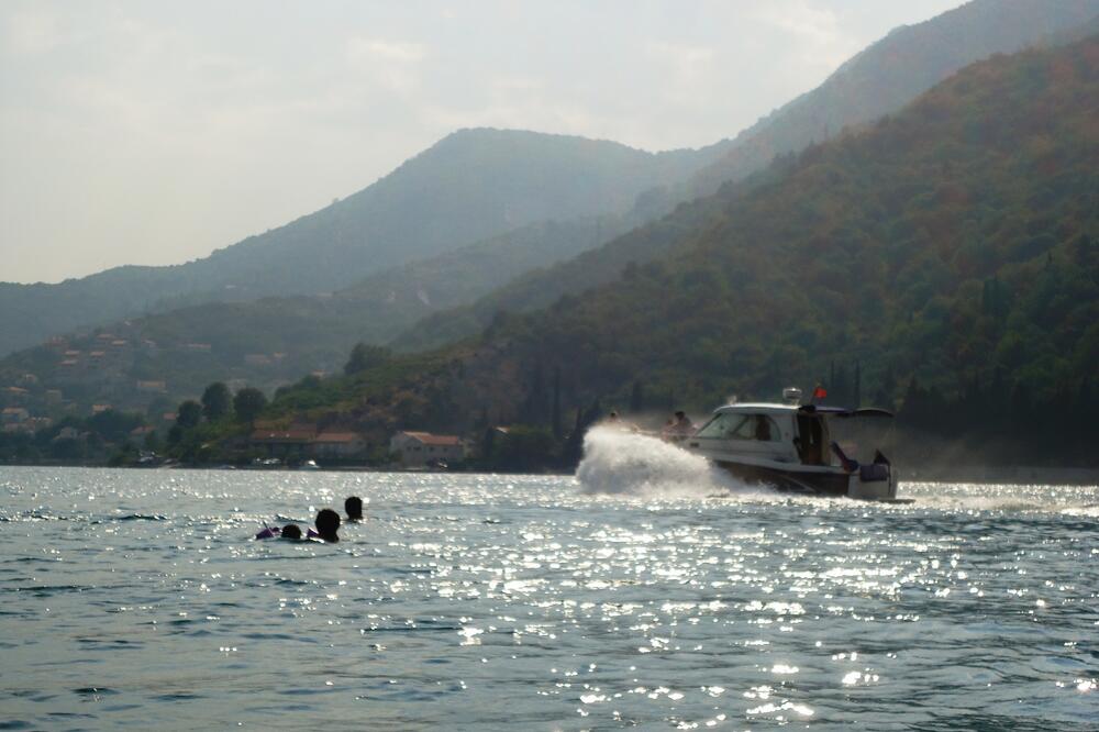 Boka gliser, Foto: Siniša Luković
