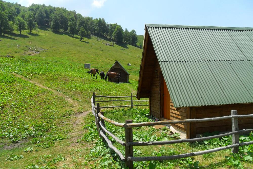 katun, Foto: Dragana Šćepanović