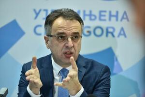 Danilović: Ne može nam pomoći Srbija, ako ne pomognemo sebi