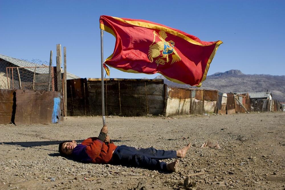 Konik kosmos ispod sača (novine), Foto: HELP
