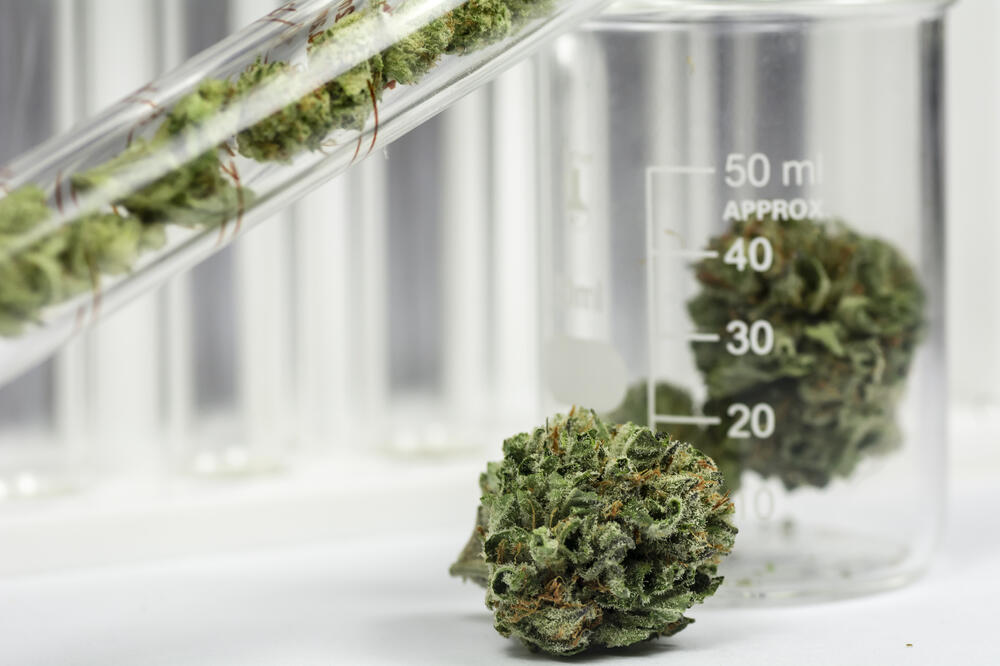 Marihuana, laboratorija, Foto: Shutterstock