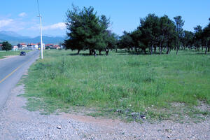 Apelacioni sud potvrdio presude ubicama starice