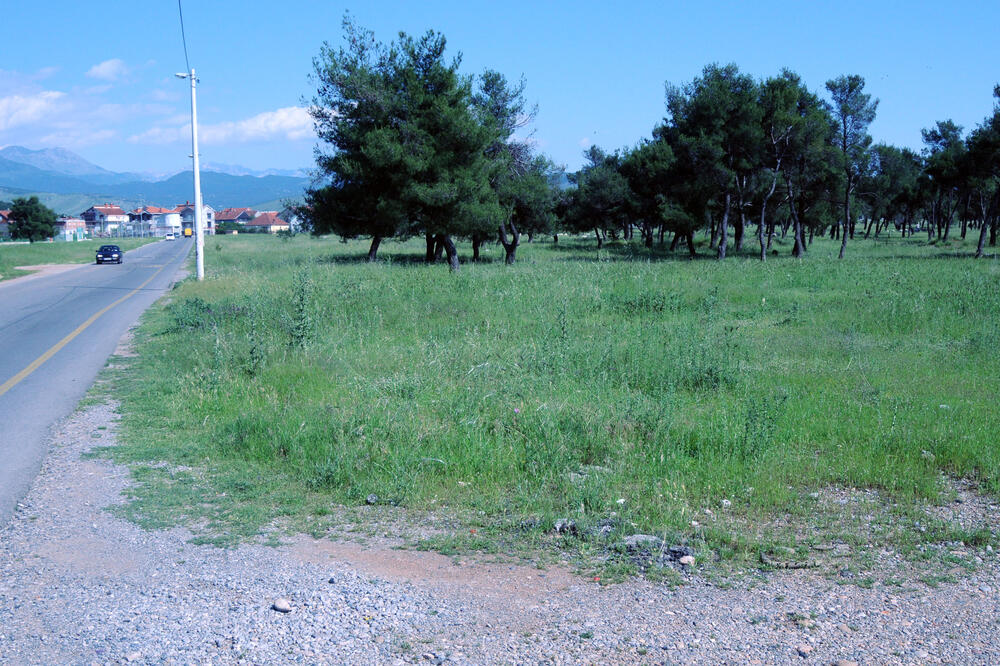 Ćemovsko polje, ubisto Aje Beriša, Foto: Luka Zeković